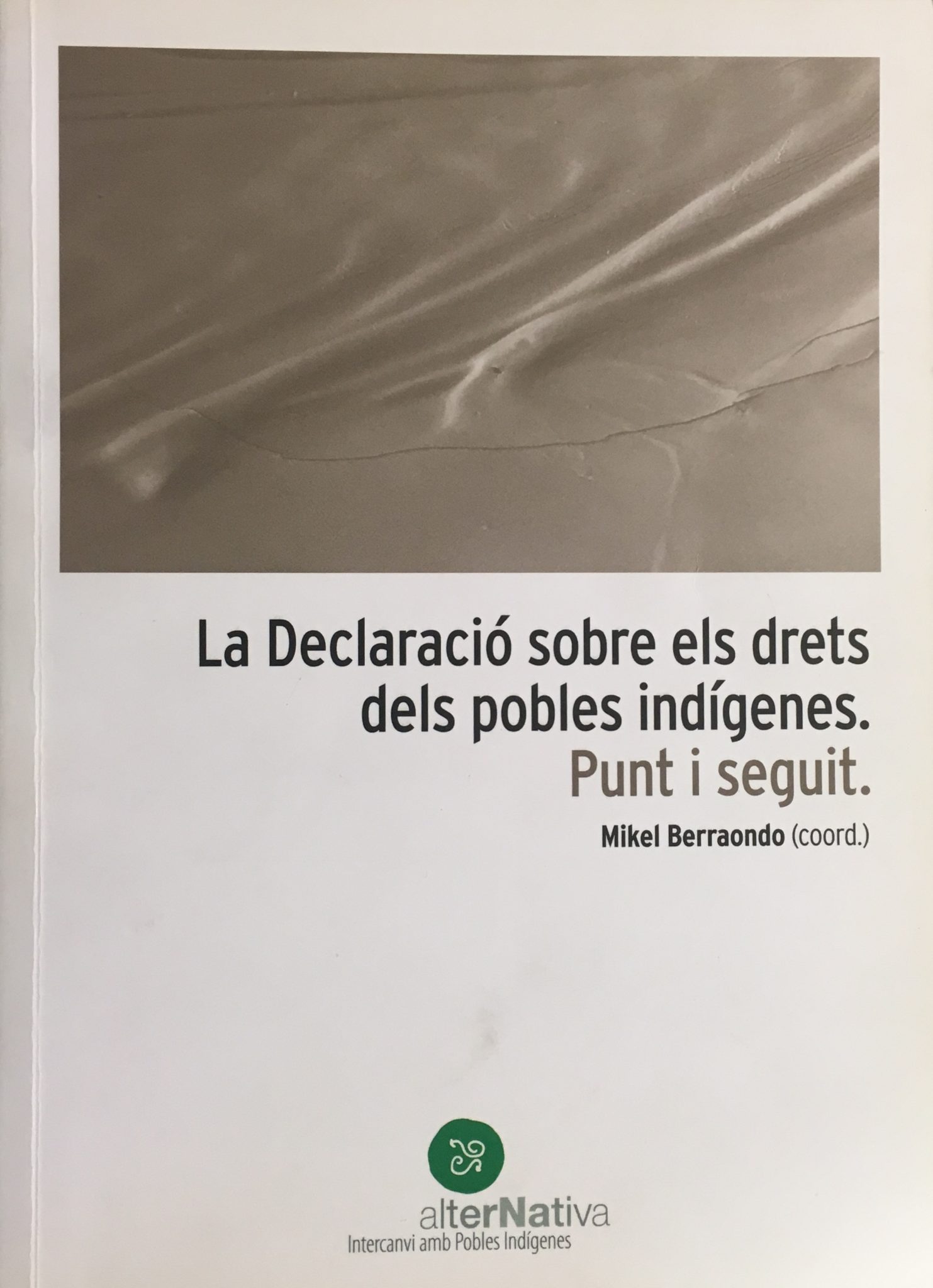 Publicació 'Declaració sobre els drets dels pobles indígenes. Punt i seguit.'