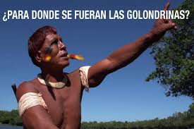 GOLONDRINAS