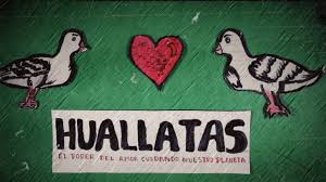 HUALLATAS