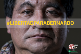 libertadparabernardo