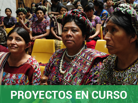 Proyectos en curso